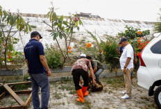 Gelar Salat Istisqa Sampai Sedekahkan Domba 