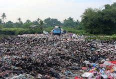 TPS Ilegal di Solear Kembali Beroperasi, Butuh Pengawasan Ketat DLHK