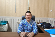 Dindikbud Bakal Rehab 40 Sekolah