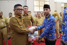 Tukin PPPK Sesuai Tingkat Pendidikan