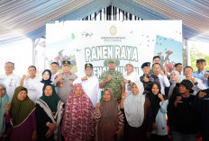 Luas Panen Padi Diproyeksi Naik 32 Persen