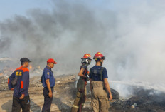 Juli 2026, BPBD Tangani 158 Kasus Kebakaran