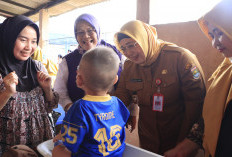 Pastikan Ibu Hamil dan Balita Dapat Pelayanan Kesehatan, Gencarkan Grebek Posyandu 