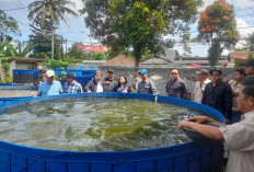 Tujuh Desa Diusulkan Jadi Tempat Bioflok