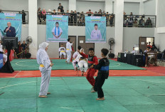 340 Bocil Ikuti Championship Pencak Silat