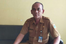 269 Hektare Sawah Berpotensi Gagal Panen