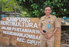 Luas Sawah Nol Hektare, Andalkan Urban Farming 