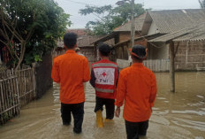 Dua Hari Hujan, Ribuan Rumah Terendam