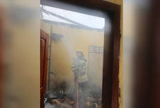 Rumah Kontrakan Hangus Terbakar, Kerugian Capai Rp150 Juta