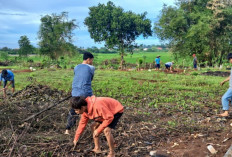Wujudkan Lingkungan Bersih dan Guyub, Gotong-Royong Warga Sukatani Rajeg Bersihkan Makam Umum