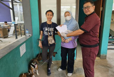Penularan Gigitan Rabies Capai 1.362 Kasus