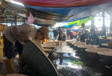 Jelang Imlek, Harga Bandeng Naik Tipis