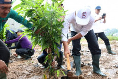 RTH Minim Polusi Mengancam, IKLH Kabupaten Tangerang Hanya 61,57
