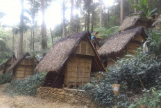 Banyak Leuit Baduy Rusak