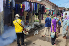 Pengawasan DBD Diperketat di Musim Hujan