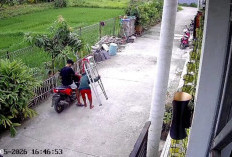 Maling Tangga Lipat di Mutiara Puri Harmoni Terekam CCTV