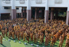 Pemda Nilai WFH Bisa Hemat BMM dan Listrik