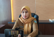 756 WNA Buat SKTT Mayoritas Untuk Bekerja