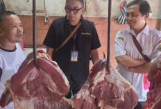 Disnakeswan Lebak Awasi Peredaran Daging di Pasaran