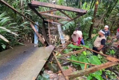 Jembatan Putus, Lima Pelajar Jatuh ke Sungai