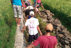 Drainase Ambrol, Warga Sorot Kerja Kontraktor