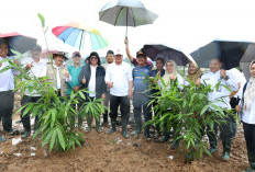 Bupati Tanam Bambu di RTH Cisoka, Pelestarian Lingkungan dan Identitas Daerah