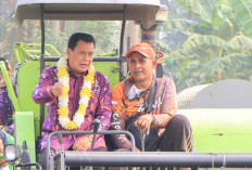 Di Tengah Ancaman Puso Kemarau, Bupati Tangerang Klaim Panen 6,2 Ton di Mauk
