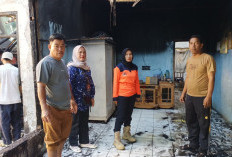 Si Jago Merah Lalap 2 Rumah dan 3 Kendaraan