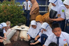 SMPN 2 Curug Kokurikuler Menanam Bawang di Aula Sekolah