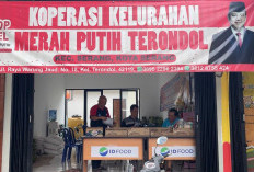 Pembangunan KDMP Sedot Anggaran Dana Desa, KKMP Berjalan, Modal dan Gedung Jadi Tantangan di Lapangan