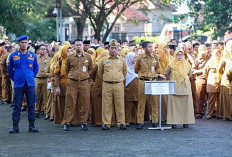 Dalam Lima Tahun ke Depan, 2.458 ASN Pemprov Pensiun