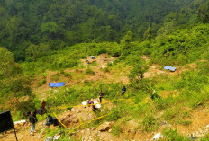 Satgas PKH Tutup 55 Tambang Emas Ilegal, Potensi Kerugian Negara Rp304 Miliar