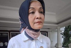 Kadinkes Angkat Bicara Soal Temuan BPK Terkait Proyek Pengadaan Videotron