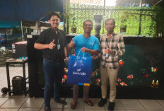 Program Binaan UMKM bjb, Budidaya Ikan Mas Koki Umardani Terkenal Hingga Negara Eropa