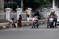 Serang Tumbuh, Tekanan Tumbuh, Masalah Ikut Tumbuh