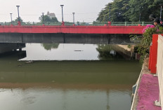 Kualitas Air Cisadane Baik, Tapi Banyak Ikan Ngambang