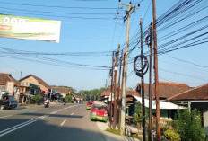 Jalan Utama Jadi Prioritas Penertiban, Jaringan Kabel Udara Semrawut