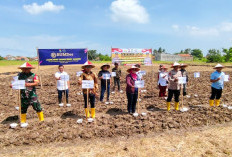 BUMDesa Banyu Asih Optimalkan Dana Desa