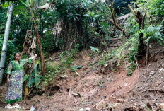Tebing Longsor Ancam Keselamatan Warga, Longsoran Hampir Mengenai Enam Rumah Perumahan Bumi Agung Rajeg