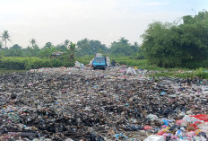 DLHK Catat Ratusan TPS Ilegal, Kebanyakan Sampah Non-Rumah Tangga 
