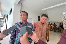 19 Tambang Ilegal Diusulkan Tutup 