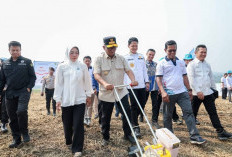 Produksi Padi Banten Tembus 1,2 Juta Ton