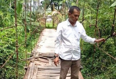 Ratusan Jembatan Gantung Tidak Layak