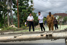 Wabup Iing Tinjau Program Bang Andra