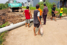 Tiang PLN Roboh Disenggol Beko