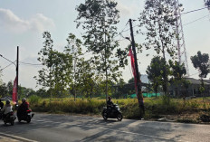 Penataan Kawasan Puspem Dinilai Mendesak, Ciputat Tertinggal dari Kecamtaan Lain