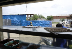 Lapak Sampah Sebarkan Bau Menyengat 