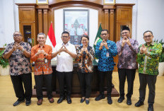 BPS: Luas Panen dan Produksi Padi Meningkat