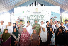 Produksi Padi Melonjak Capai 1,8 Juta Ton