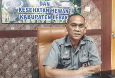 Lebak Klaim Jadi Penyangga Beras Jabodetabek